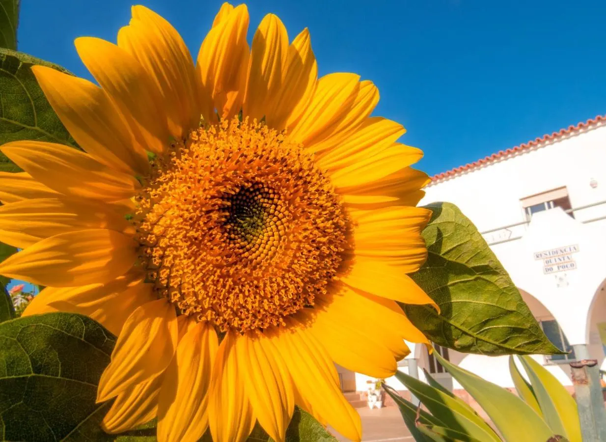 סאגרש Residencia Quinta Do Poco Guesthouse