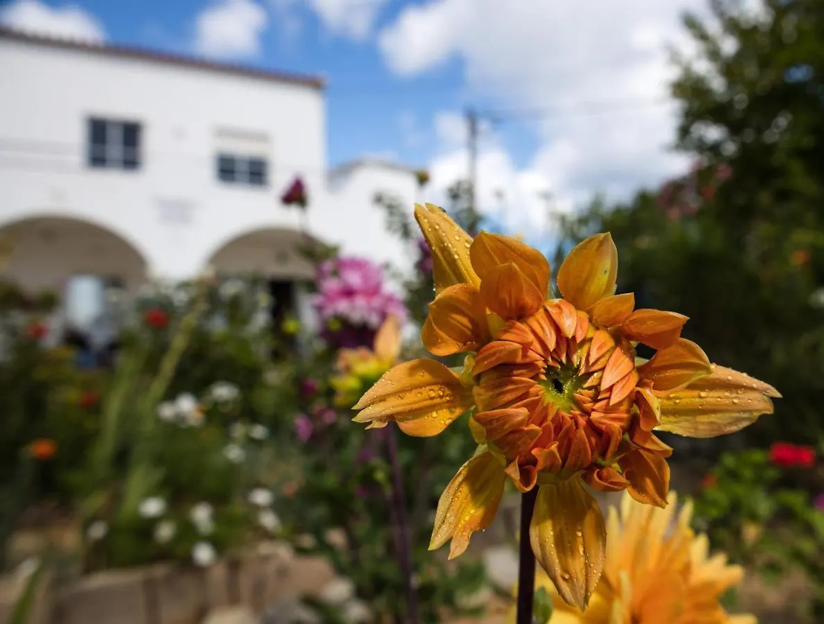 Guest house Residencia Quinta Do Poco Guesthouse Sagres