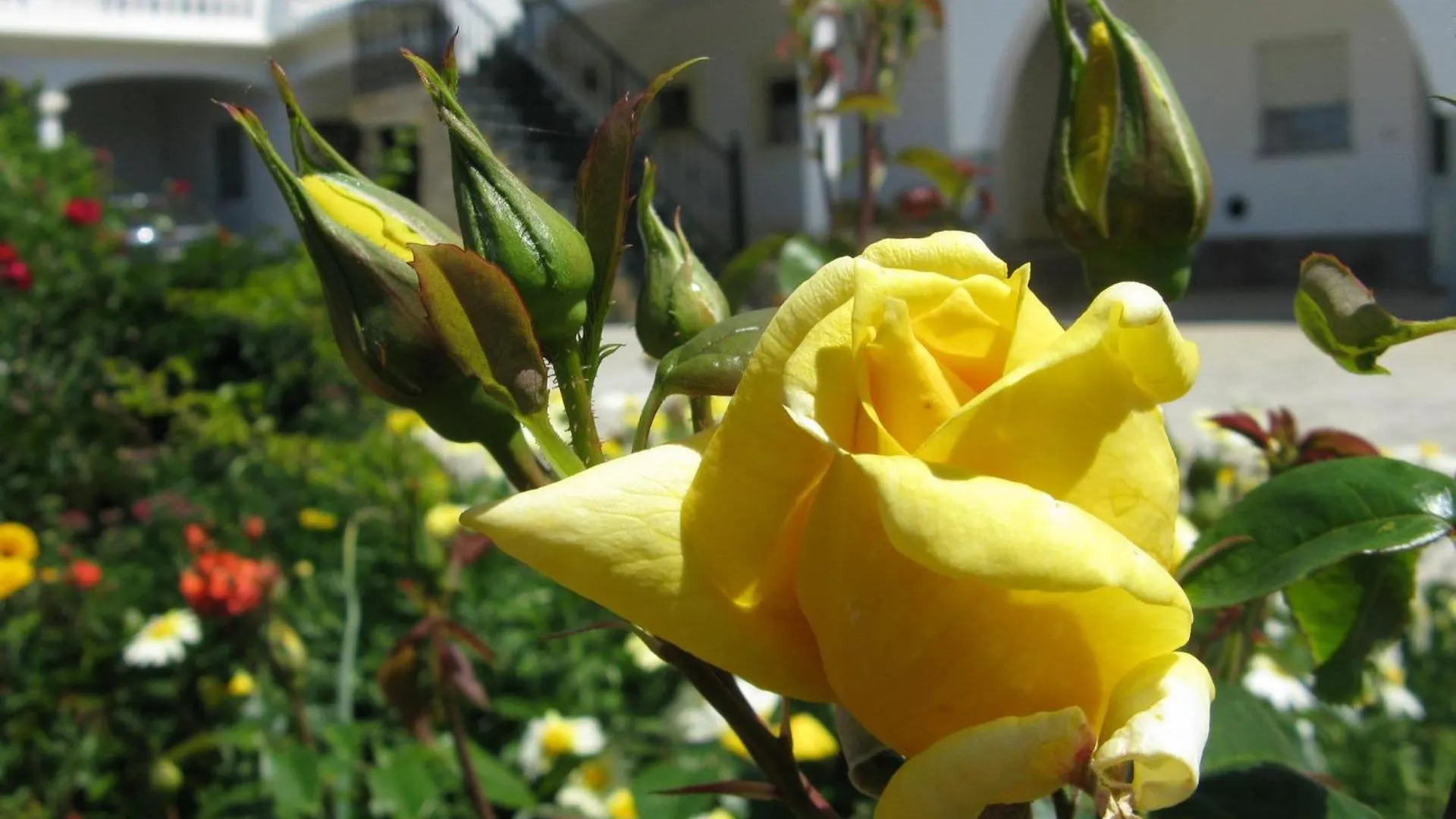 סאגרש Residencia Quinta Do Poco Guesthouse 0*,  פורטוגל